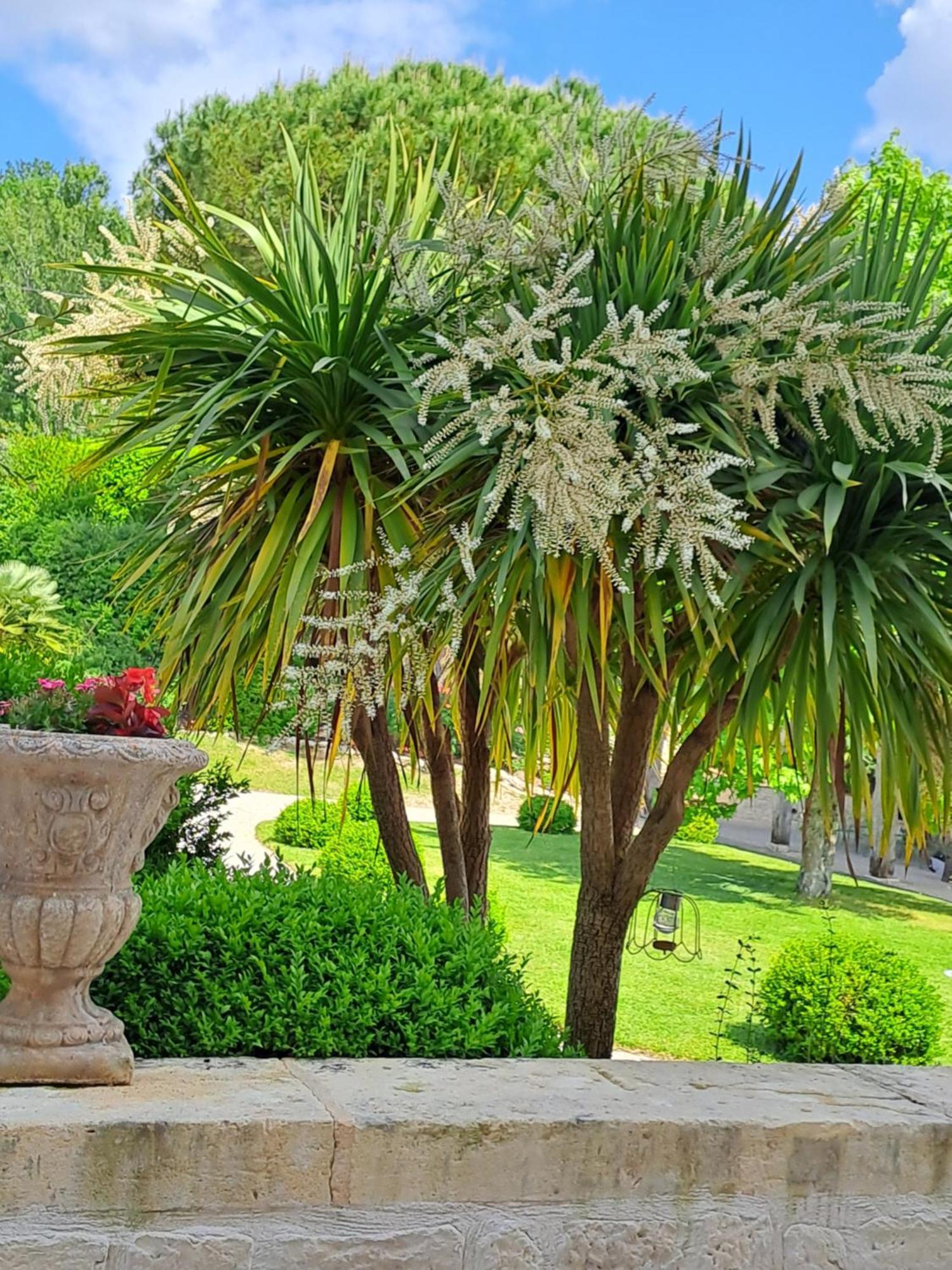 La Maison De Maitre Sainte-Livrade-sur-Lot Εξωτερικό φωτογραφία